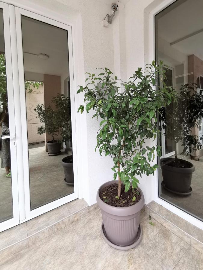 Hotel Suzana Μπούντβα Εξωτερικό φωτογραφία