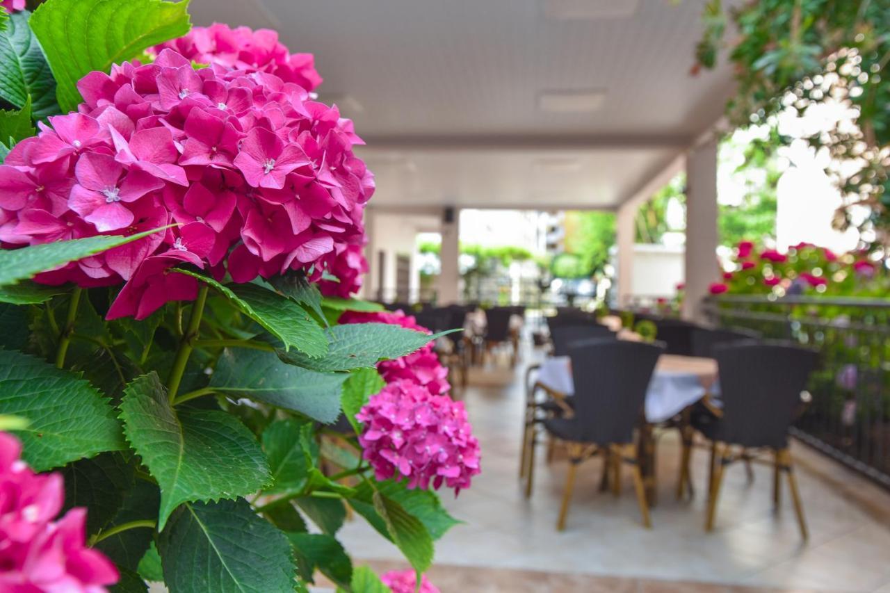 Hotel Suzana Μπούντβα Εξωτερικό φωτογραφία