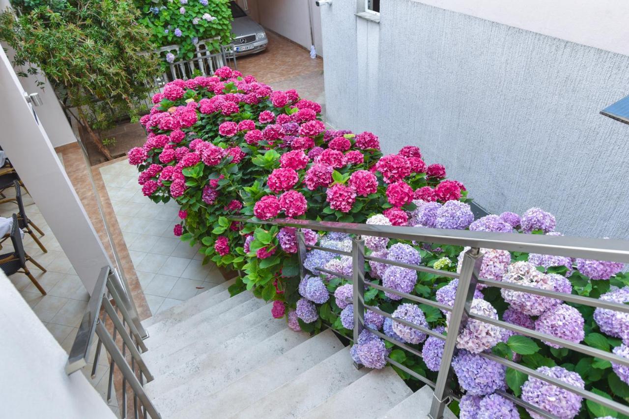 Hotel Suzana Μπούντβα Εξωτερικό φωτογραφία